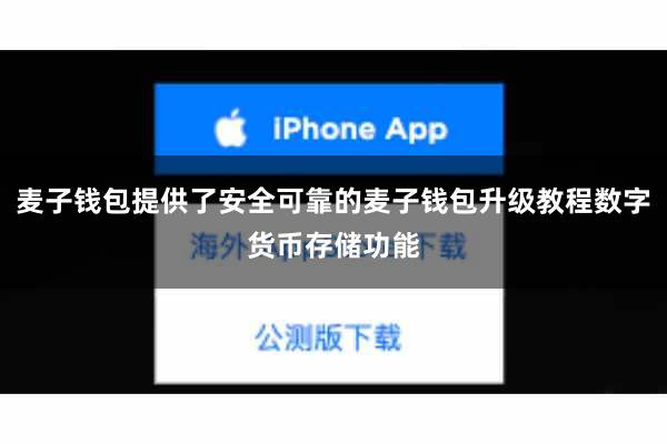 麦子钱包提供了安全可靠的麦子钱包升级教程数字货币存储功能