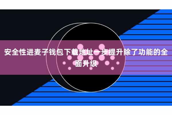 安全性进麦子钱包下载地址一步提升除了功能的全面升级