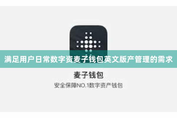 满足用户日常数字资麦子钱包英文版产管理的需求