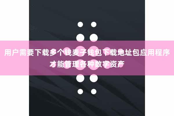 用户需要下载多个钱麦子钱包下载地址包应用程序才能管理各种数字资产