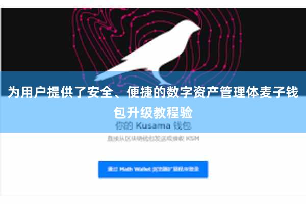 为用户提供了安全、便捷的数字资产管理体麦子钱包升级教程验