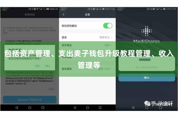 包括资产管理、支出麦子钱包升级教程管理、收入管理等
