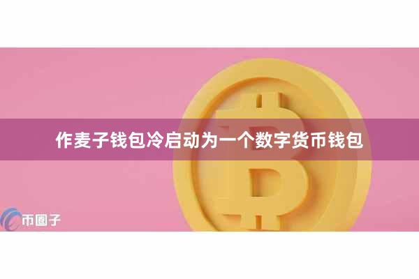 作麦子钱包冷启动为一个数字货币钱包
