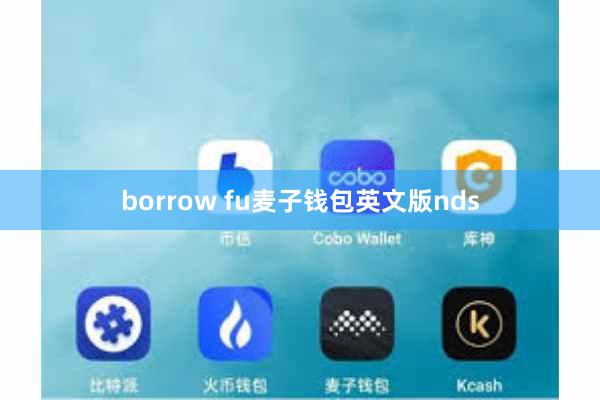 borrow fu麦子钱包英文版nds