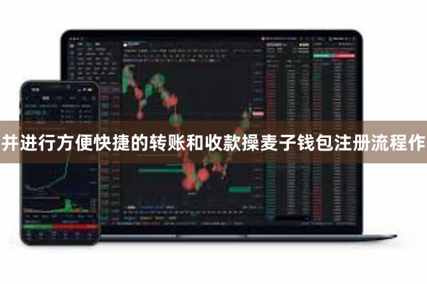 并进行方便快捷的转账和收款操麦子钱包注册流程作