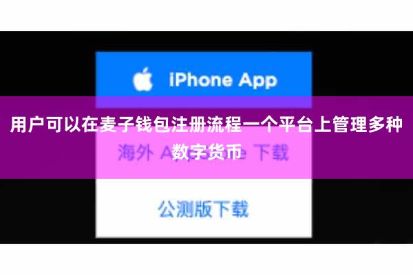 用户可以在麦子钱包注册流程一个平台上管理多种数字货币