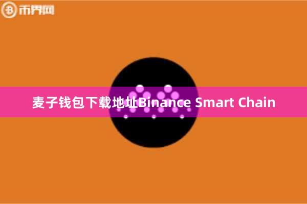 麦子钱包下载地址Binance Smart Chain
