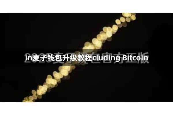 in麦子钱包升级教程cluding Bitcoin