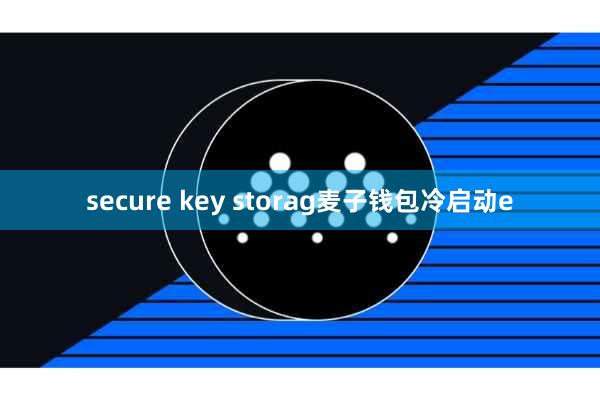secure key storag麦子钱包冷启动e