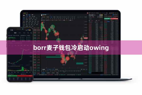 borr麦子钱包冷启动owing