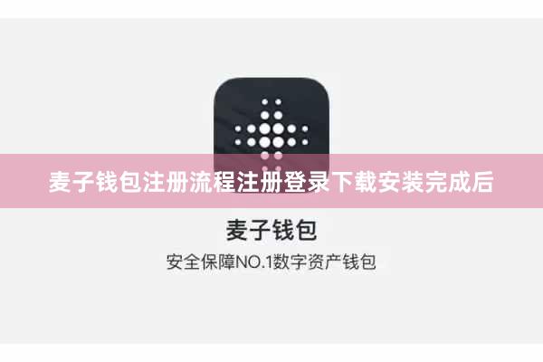 麦子钱包注册流程注册登录下载安装完成后