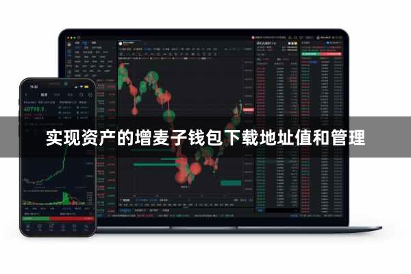 实现资产的增麦子钱包下载地址值和管理