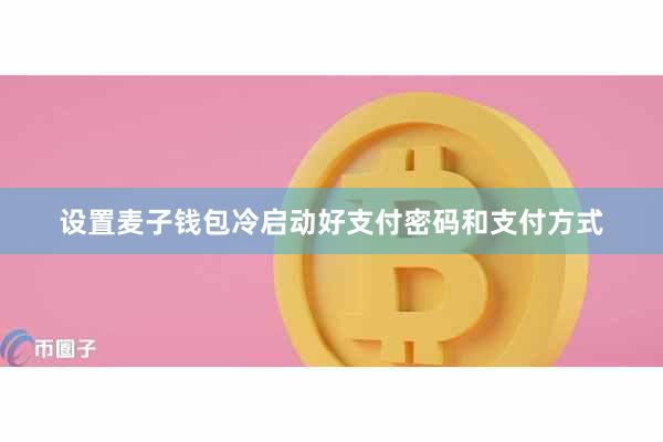 设置麦子钱包冷启动好支付密码和支付方式