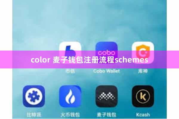 color 麦子钱包注册流程schemes
