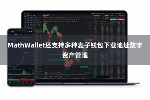 MathWallet还支持多种麦子钱包下载地址数字资产管理